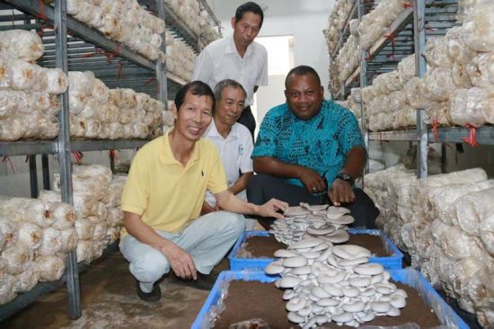 2018�꣬��쳼þ��ݼ���ʾ�����ġ�