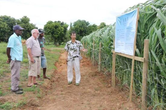 2016��6�£���쳼ã���ռɭΪũ�����ܾ��ݼ�����