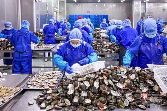 �����������䣬�������ڽ���æµ�š���������ý�����Ĺ�ͼ��