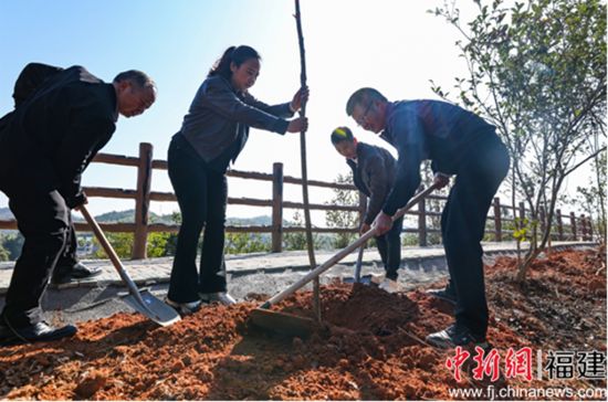 图为植树活动现场。宁化县融媒体中心供图 图为植树活动现场。宁化县融媒体中心供图
