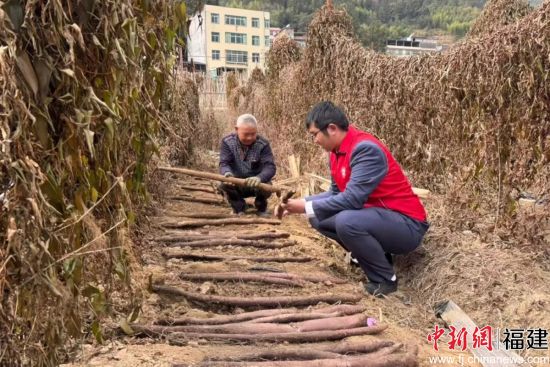 ¡¡¡¡µÂ»¯Å©ÐÅÁªÉç½ðÈÚÖúÀíÉîÈëÌï¼äµØÍ·£¬Á˽âÖÖÖ²»§½ðÈÚÐèÇó¡£ ¡¡¡¡µÂ»¯Å©ÐÅÁªÉç½ðÈÚÖúÀíÉîÈëÌï¼äµØÍ·£¬Á˽âÖÖÖ²»§½ðÈÚÐèÇó¡£