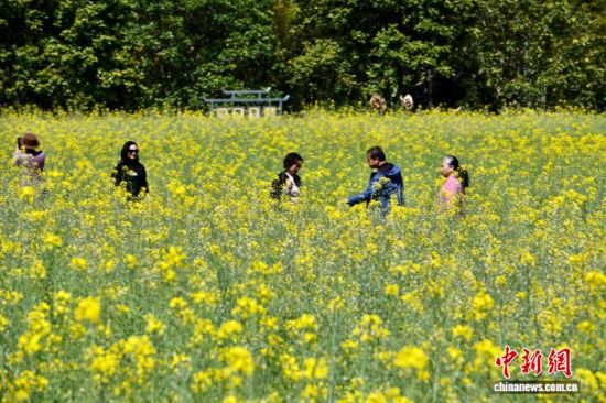 3��13�գ��������ݣ��������Ͳ˻������ͻ������������ ������ ��