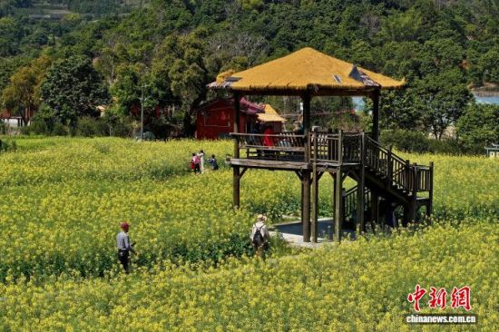 3��13�գ��������ݣ��������Ͳ˻������ͻ��������˻���Ƭ����������� ������ ��