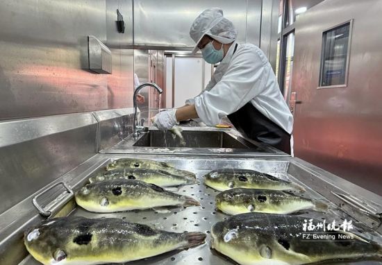 ������������Ƽ����޹�˾Ա���ڼӹ���ֳ������