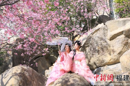 ������������ӣ���������ա�л˼����