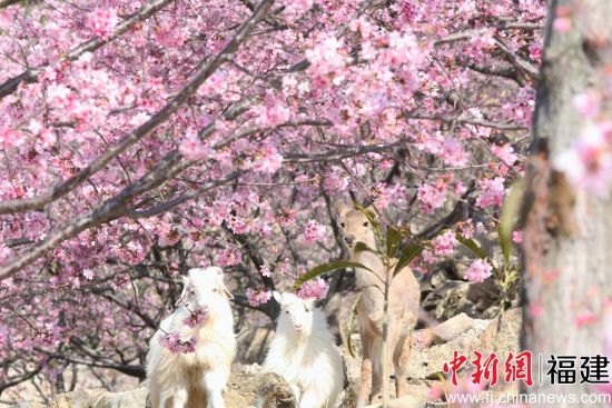 �ȳ���ӣ�����ֽ���