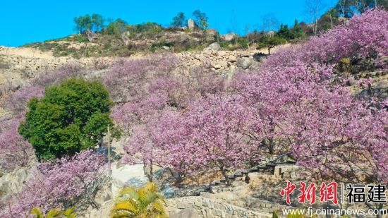 ӣ��������ʯ��֮�䡣��������