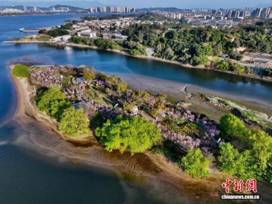 3��14�գ����и�������������ġ�ӣ�������������˻���Ƭ����������� ������ ��