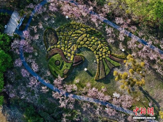 3��14�գ����и�������������ġ�ӣ�������������˻���Ƭ����������� ������ ��