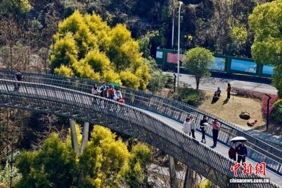 3��14�գ��������ݣ������߸����ʹ��⡣��������� ������ ��