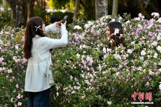 3��15�գ��������ݣ���������ͤ����԰�ž黨������Ӱ����������� ������ ��