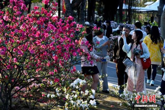 3��15�գ��������ݣ���������ͤ����԰���Ͷž黨����������� ������ ��