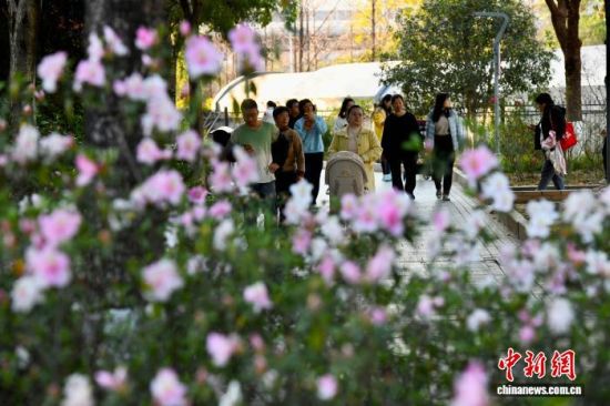 3��15�գ��������ݣ���������ͤ����԰���Ͷž黨����������� ������ ��