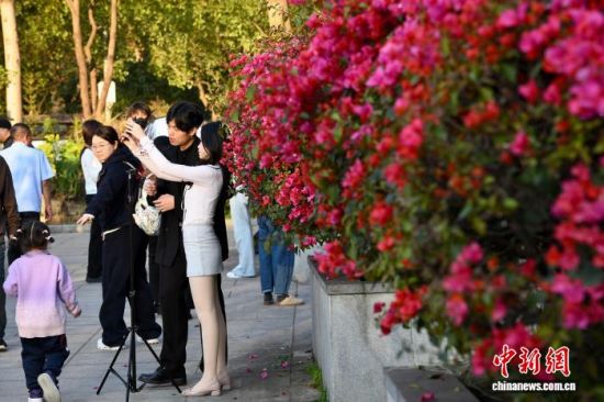 3��15�գ��������ݣ���������ͤ����԰���Ͷž黨����������� ������ ��