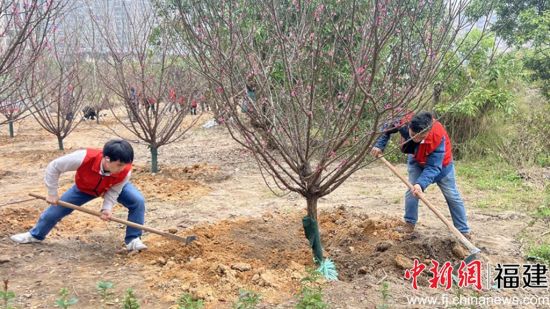 ͼΪ����Ҷ־Ը�ߡ����������ֲ���硣л������