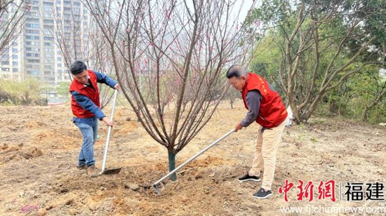 ͼΪ����Ҷ־Ը�ߡ����������ֲ���硣л������