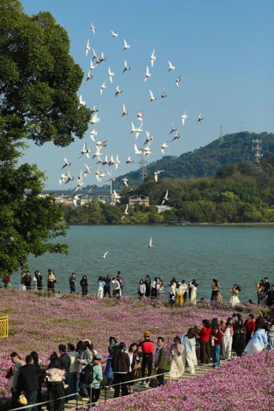 �����̾�����ɣ������ʢ���� ���ݷ� ��