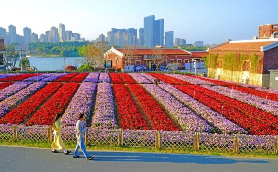 ���Ÿ�ɽ���赸