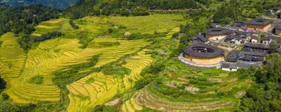 ���Ÿ�ɽ���赸