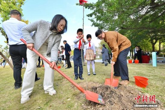 17�գ�2026����ֲ���ջ�ڸ��ݾٰ졣���ⵤ�� ��