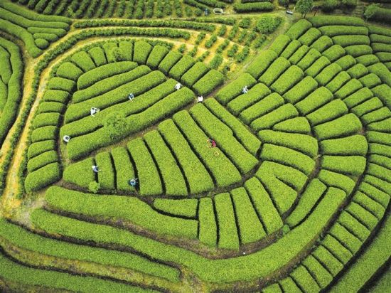 լ�������塰������԰�� κ���� ��