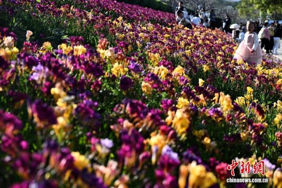 3��15�գ������ڹ�԰�����ͻ������������ �ű� ��