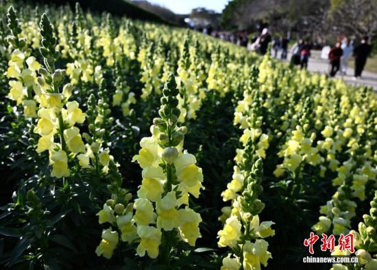 3��15�գ������ڹ�԰�����ͻ������������ �ű� ��