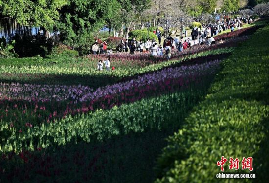 3��15�գ������ڹ�԰�����ͻ������������ �ű� ��