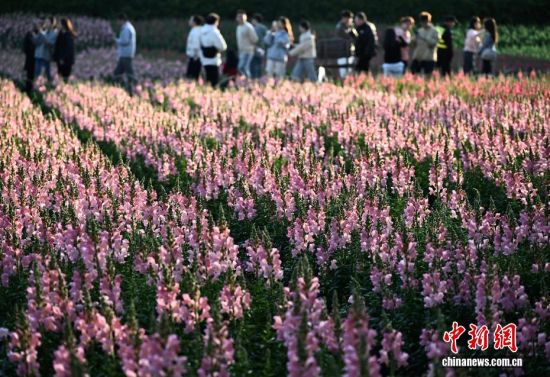 3��15�գ������ڹ�԰�����ͻ������������ �ű� ��