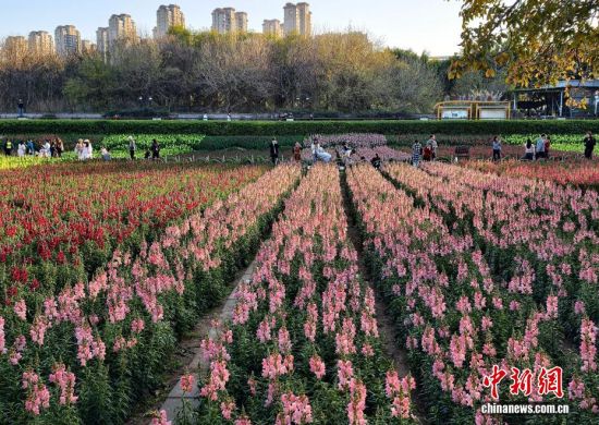 3��15�գ������ڹ�԰�����ͻ������������ �ű� ��