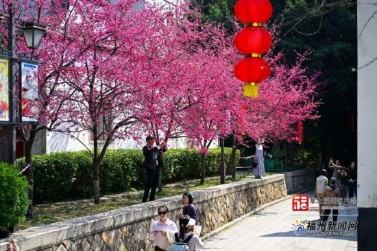 ��ɽӣ��ʢ������Զ ��