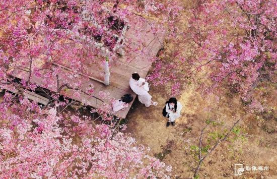 ��̨ɽ��̬԰ ��˫ΰ ��