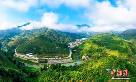 º½ÅÄ̹Ñó²èɽ¡£(×ÊÁÏͼ)³ÂÁø½ð Éã º½ÅÄ̹Ñó²èɽ¡£(×ÊÁÏͼ)³ÂÁø½ð Éã