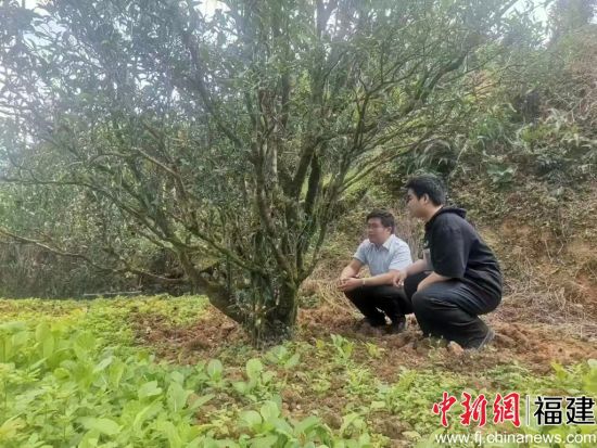 ¿ÆÌØÅÉÔ±ÔÚʵµØµ÷ÑÐ ¿ÆÌØÅÉÔ±ÔÚʵµØµ÷ÑÐ