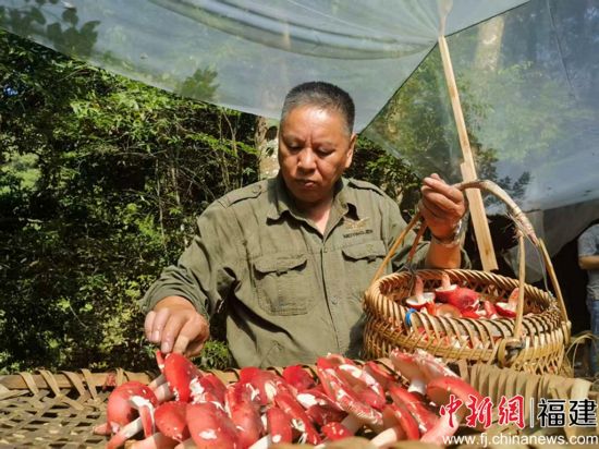 ¶«·çÅ©³¡ºì¹½Ï²Ó·áÊÕ ¶«·çÅ©³¡ºì¹½Ï²Ó·áÊÕ