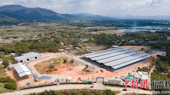 ��ţ����������Ŀ�������� ��