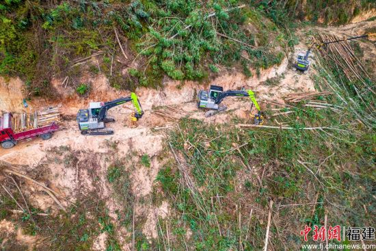 ¡¡¡¡Ð¡ÇÉÁé»îµÄץľ»ú×÷ÒµÖÐ ¡¡¡¡Ð¡ÇÉÁé»îµÄץľ»ú×÷ÒµÖÐ