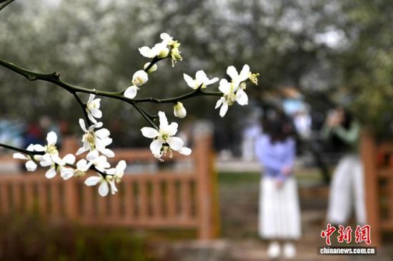 �������ʵ�������������� �Ž� ��