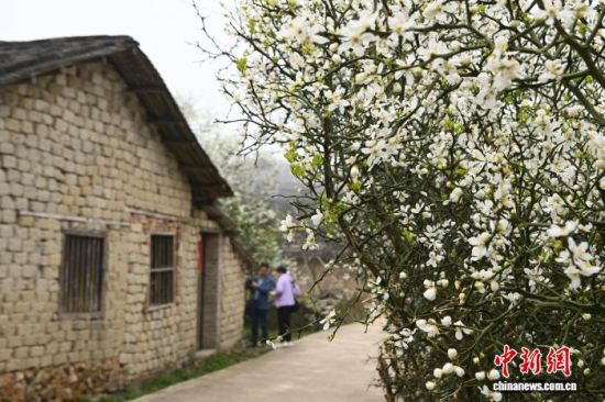 3��20�գ�����ʡ�������Ͼ����Ͽ��������Ƭ����ʵ���Ͻ�����ɫ�Ļ�����Ȼ����¥ǰ���ţ�����ʤ�ա����������� �Ž� ��