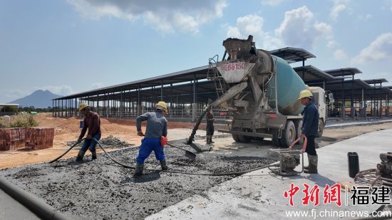 育肥场。陈旭玲 摄 育肥场。陈旭玲 摄