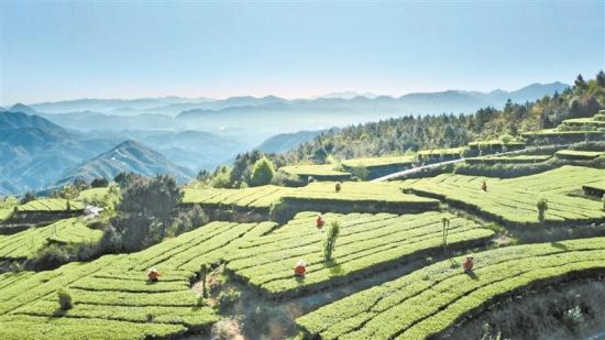 �������������ɽ��԰�������ز��ҵ��չ���Ĺ�ͼ