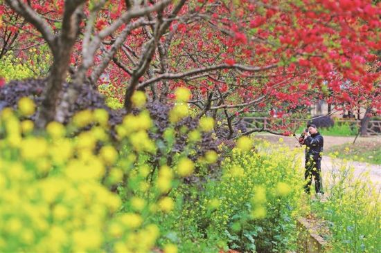 ���Ϫ��̬԰����ʢ��