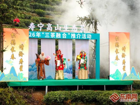 北路戏“八仙”角色喊山开茶。东南网记者 叶伏国 摄 北路戏“八仙”角色喊山开茶。东南网记者 叶伏国 摄