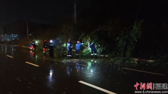 图为消防员在清理路边倒木。 王伟 摄 图为消防员在清理路边倒木。 王伟 摄