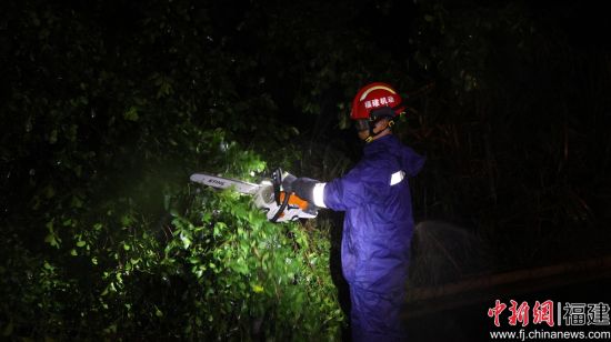 图为消防员政治进行倒木切割作业。 王伟 摄 图为消防员政治进行倒木切割作业。 王伟 摄