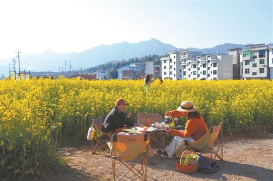 游客在浦源镇端源村油菜花田赏花。 刘志玮 摄 游客在浦源镇端源村油菜花田赏花。 刘志玮 摄