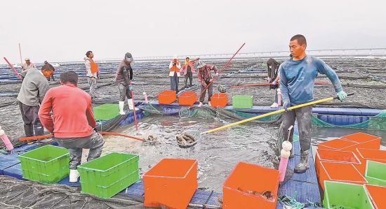 ��ֳ���˴������д��̺��Ρ� ��ʢ�� ��