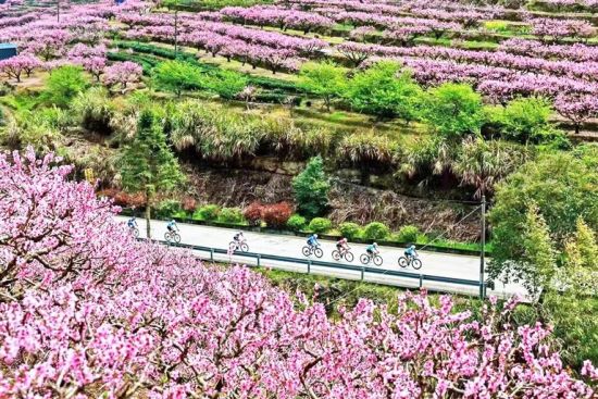 ���ж��鴩�����һ���ӳ��������ɽ��·�䡣���� ��