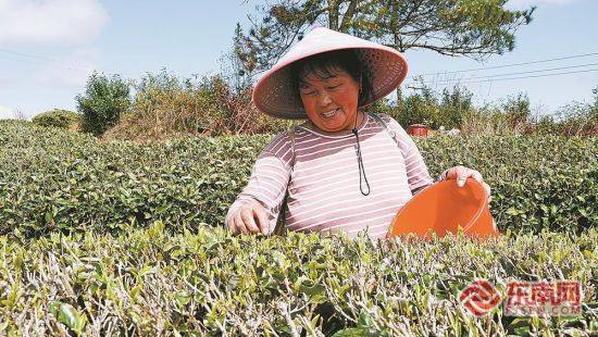 ����ɽ��ҵ���ع����ڲ�ժ���衣