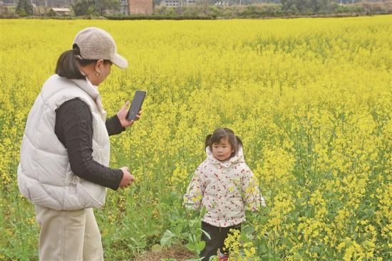 ��ͷ���Ͳ˻����������������� ��